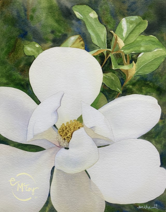Southern Magnolia. Painting by Erika McCoy, watercolor artist. White southern magnolia with green leaves and field.